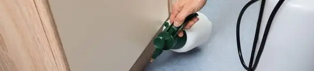 Bed bug exterminator treating baseboards and cracks with targeted spray in Kansas City, MO