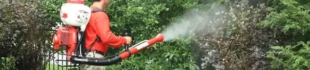 Mosquito control technician fogging shrubs and landscaping for mosquito treatment in Kansas City, MO