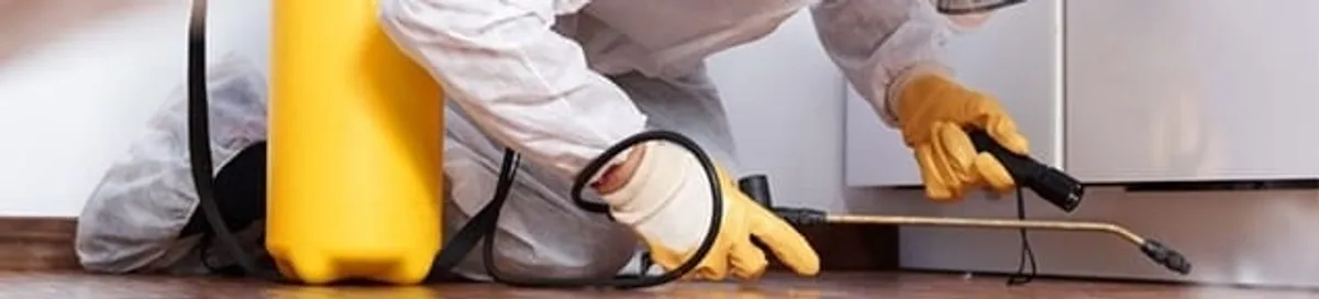 Roach exterminator treating cracks and crevices along kitchen baseboards in Kansas City, MO