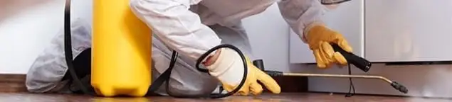 Roach exterminator treating cracks and crevices along kitchen baseboards in Kansas City, MO