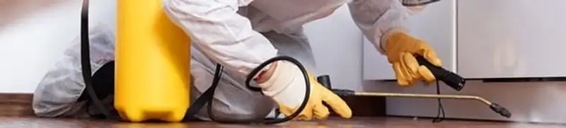 Roach exterminator treating cracks and crevices along kitchen baseboards in Kansas City, MO