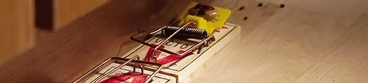 Rodent trap set indoors for rodent control and prevention in Kansas City, MO