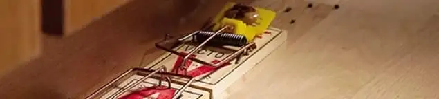 Rodent trap set indoors for rodent control and prevention in Kansas City, MO